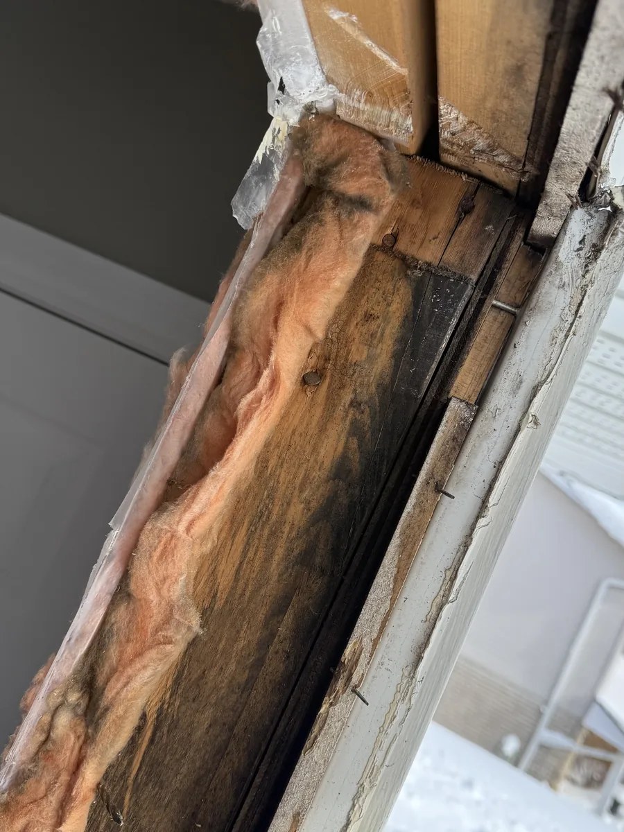 Rotted black wood framing exposed behind the old window trim during demolition